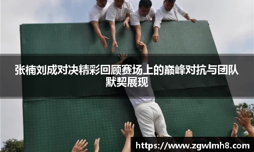 张楠刘成对决精彩回顾赛场上的巅峰对抗与团队默契展现